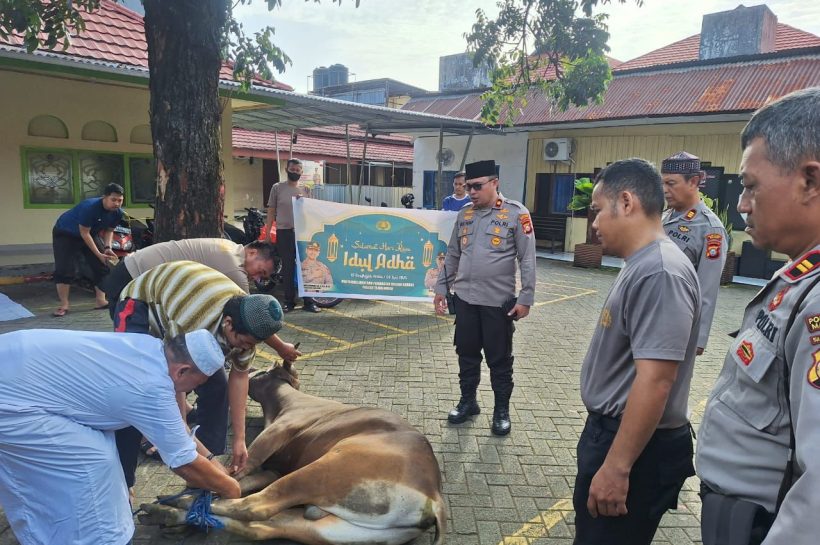 Rayakan Hari Raya Idul Adha 1446 H, Polsek Tamalanrea Qurban Satu Ekor Sapi dan dibagikan ke Warga masyarakat